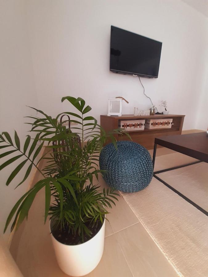Apartment Macic Dub I Kotor Eksteriør billede